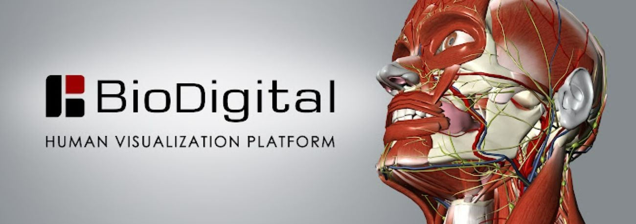 Trial di BioDigital Human