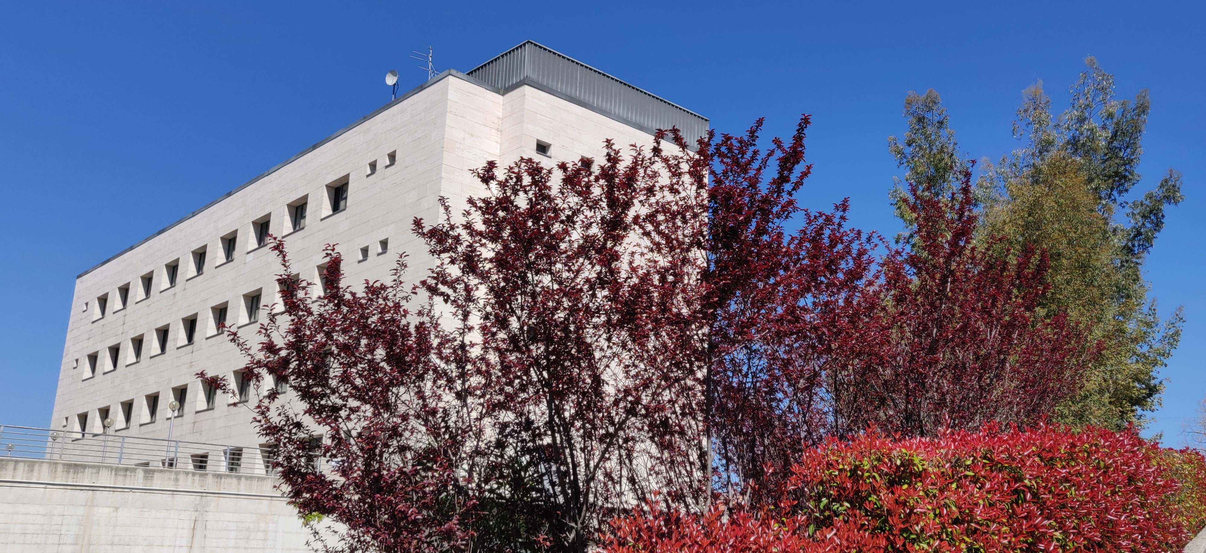 Biblioteca Medico Scientifica: chiusura nei giorni 21 e 22 maggio