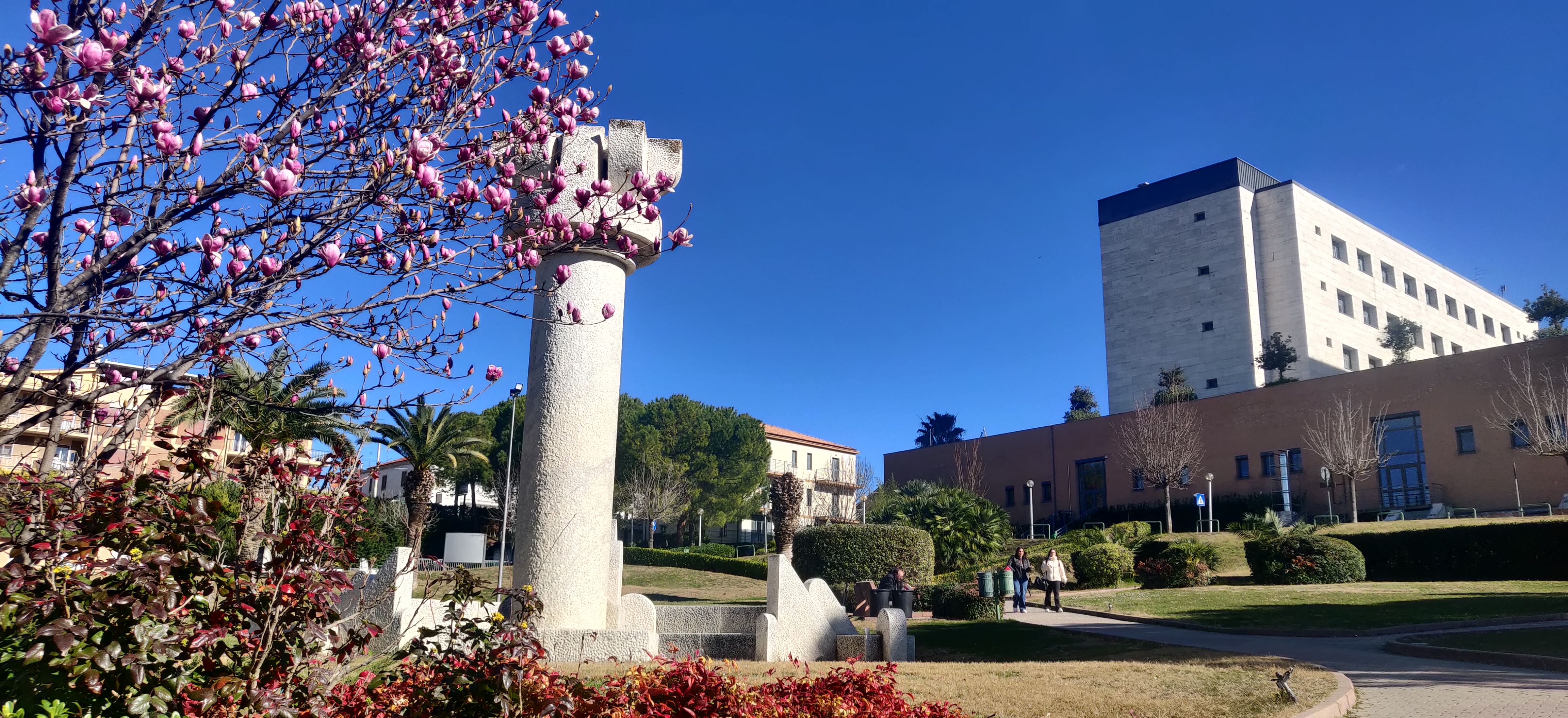 Biblioteca Medico Scientifica: chiusura sala lettura 9:00-15:00