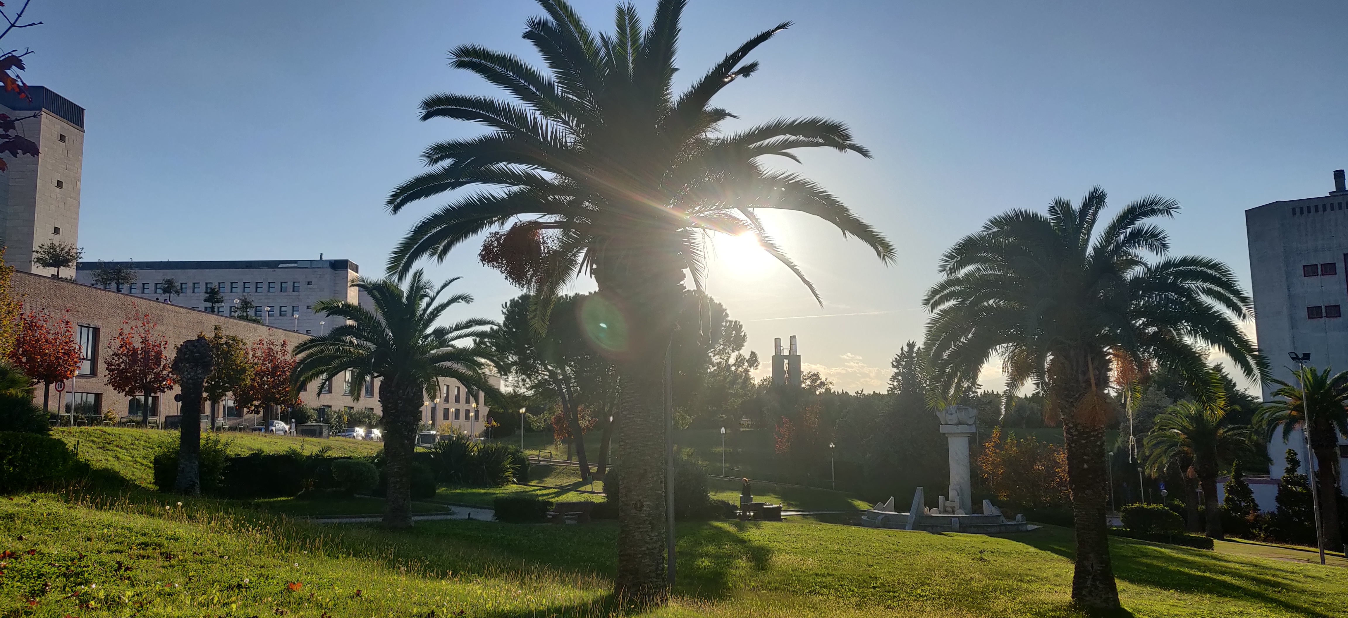 Biblioteca Medico Scientifica: orario di apertura estivo e sospensione servizi