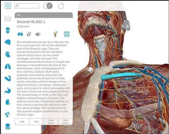 UdaLibrary  Visible Body Atlante di Anatomia 3D