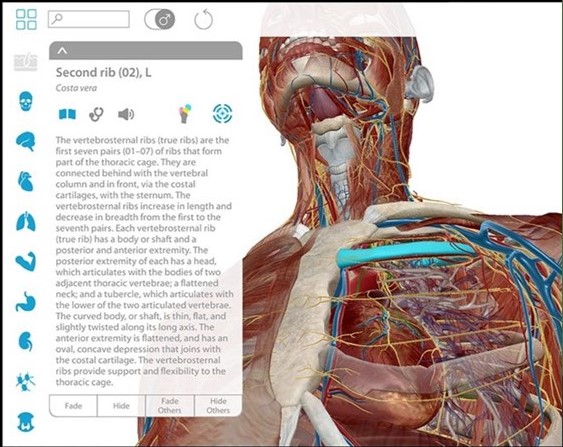 Visible Body Atlante di Anatomia 3D